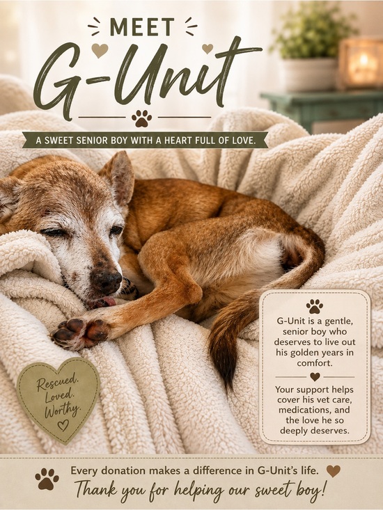 Accessories - Donations for g-units end of life care